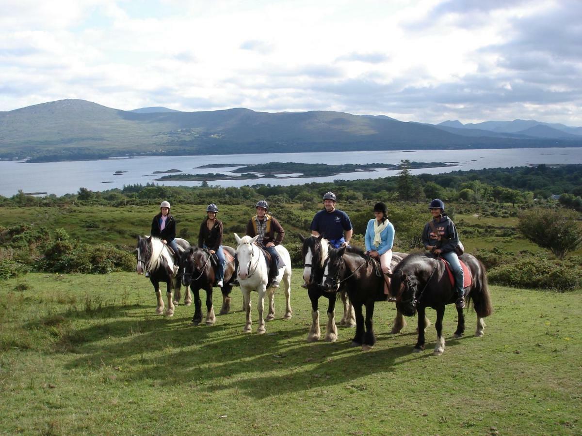 Gortnaboul House Bed and Breakfast Kilgarvan Buitenkant foto