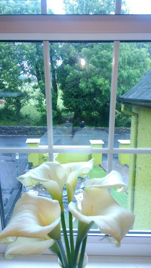 Gortnaboul House Bed and Breakfast Kilgarvan Buitenkant foto